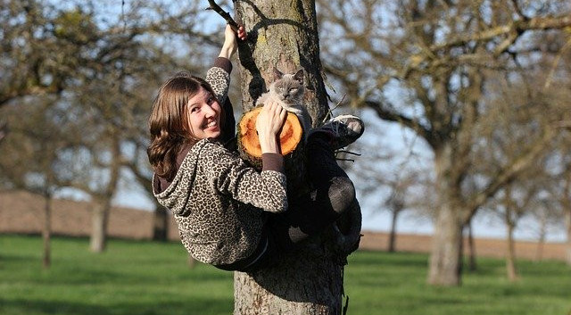 tree climbing